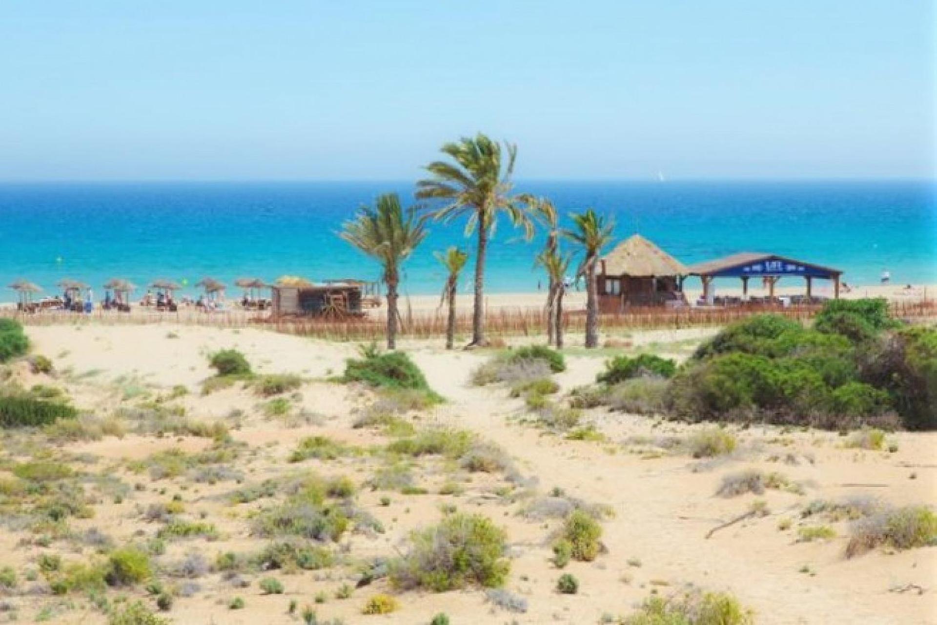 Mediterraneamente Soleado Santa Pola Bagian luar foto